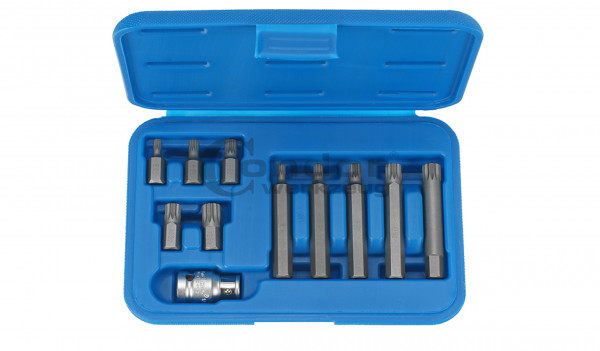 Condor 210/1 Bit-Sortiment, 11-tlg., 1/2'', Vielzahn M5-12